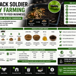 Biz Ideas Black Soldier Farming