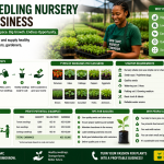 Biz Ideas - Seedling Nursery Idea