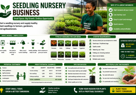 Biz Ideas - Seedling Nursery Idea