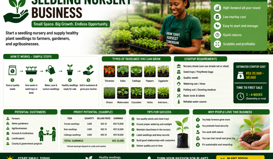 Biz Ideas - Seedling Nursery Idea